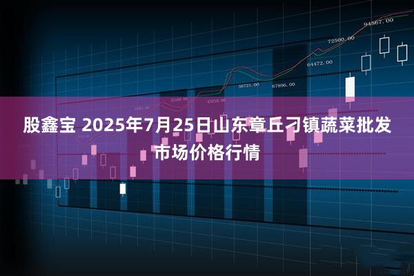 股鑫宝 2025年7月25日山东章丘刁镇蔬菜批发市场价格行情