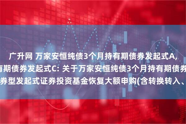广升网 万家安恒纯债3个月持有期债券发起式A,万家安恒纯债3个月持有期债券发起式C: 关于万家安恒纯债3个月持有期债券型发起式证券投资基金恢复大额申购(含转换转入、定期定额投资)业务的公告